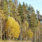 Номер (Дом с 2 спальнями), Отель Хаус с террасой