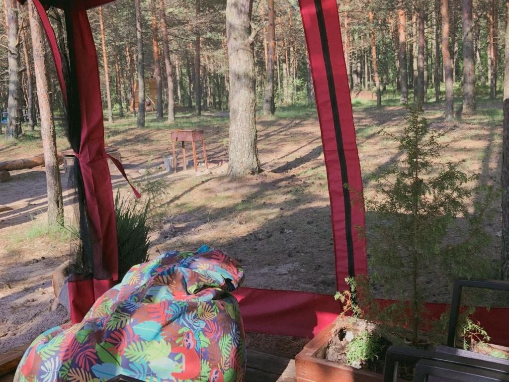 Двухместный (Двухместный номер с 1 кроватью), Кемпинг Wind hunters station