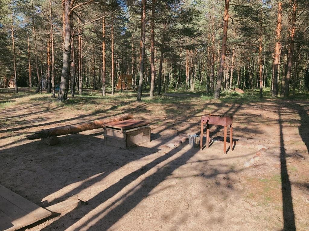 Двухместный (Двухместный номер с 1 кроватью), Кемпинг Wind hunters station