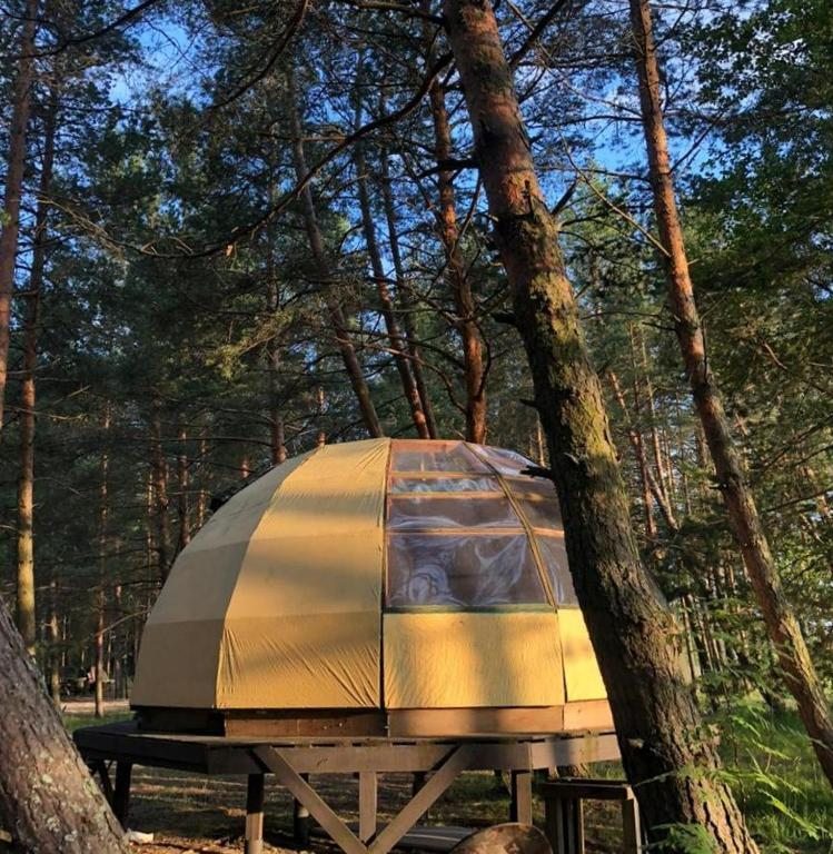 Двухместный (Двухместный номер с 1 кроватью), Кемпинг Wind hunters station