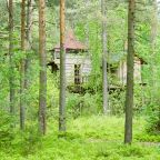 Двухместный (Домик на дереве), Кемпинг Wind hunters station