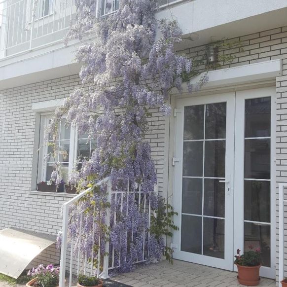 Отель Янтарный сезон