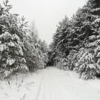 Семейный (Семейный номер с террасой), Гостевой дом Лесник