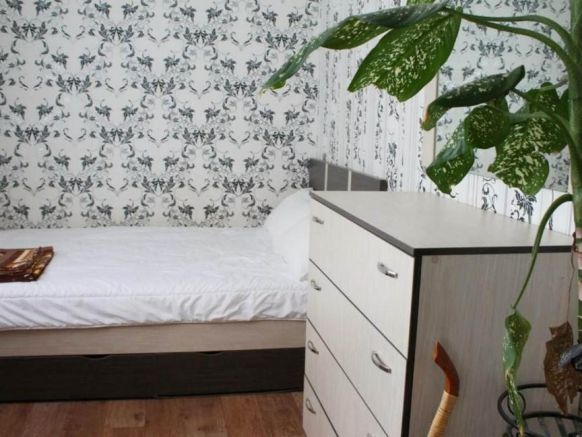 Apartment on Dusi Kovalchuk 272/4