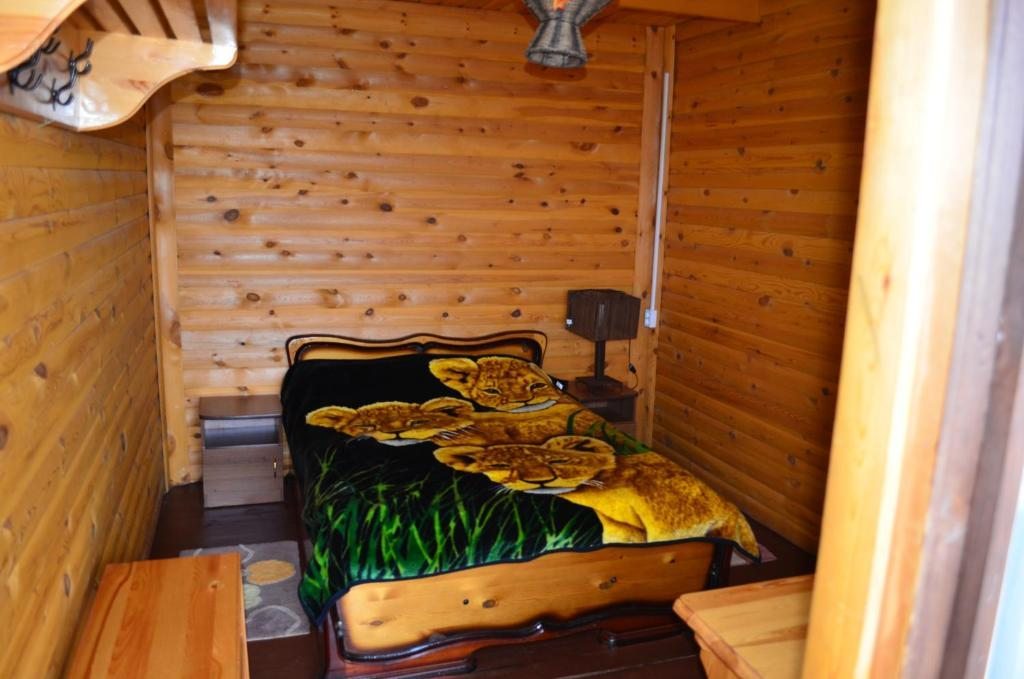 Двухместный (Бюджетный двухместный номер с 1 кроватью) парк-отеля База отдыха Берег Байкала, Сарма