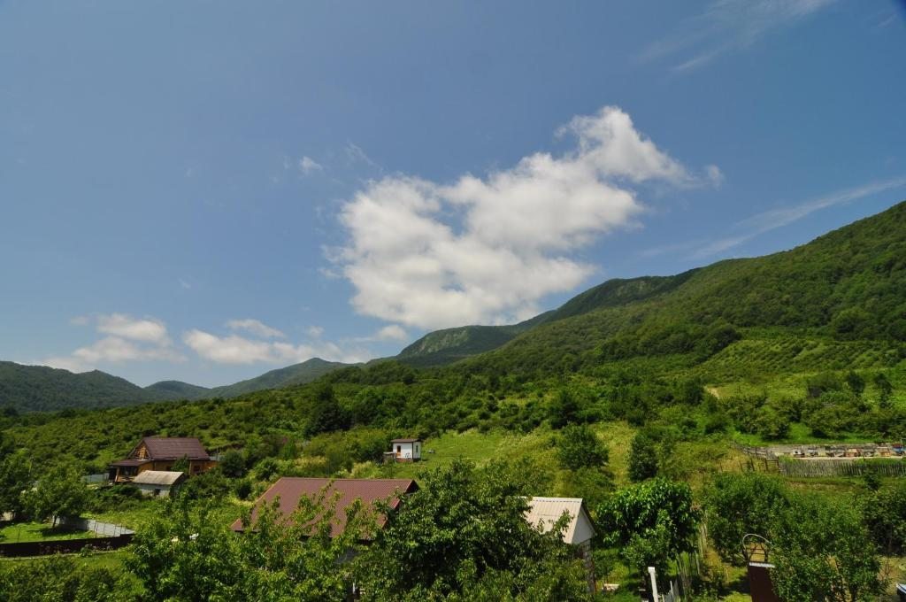 Сьюит (Люкс с 2 спальнями), Guesthouse Gornyy Vozdukh