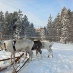 Объект находится в лесу, База отдыха Каравелла