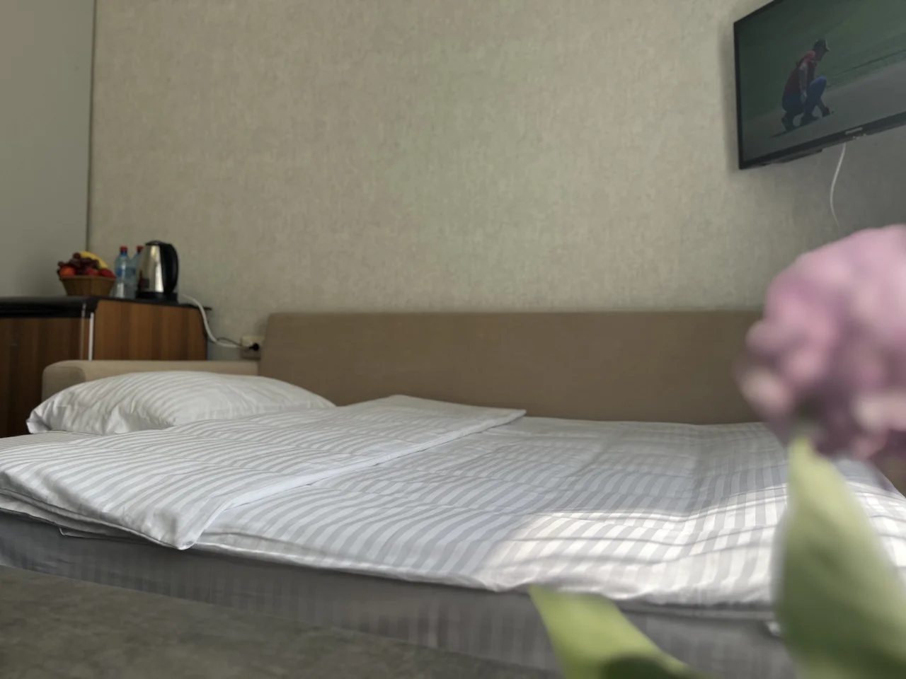 Двухместный (Двухместный номер с 2 отдельными кроватями, вид на сад), Отель Вилла Виктория