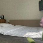 Двухместный (Двухместный номер с 2 отдельными кроватями, вид на сад), Отель Вилла Виктория