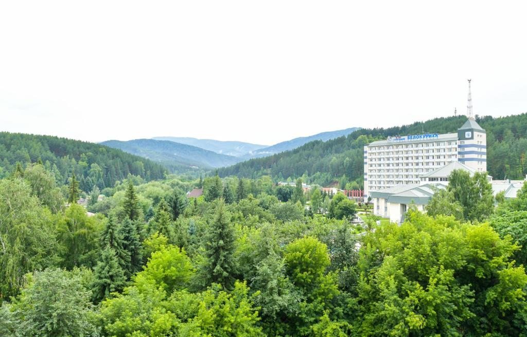 Апартаменты (Апартаменты с видом на горы) апартамента на территории курорта, Белокуриха