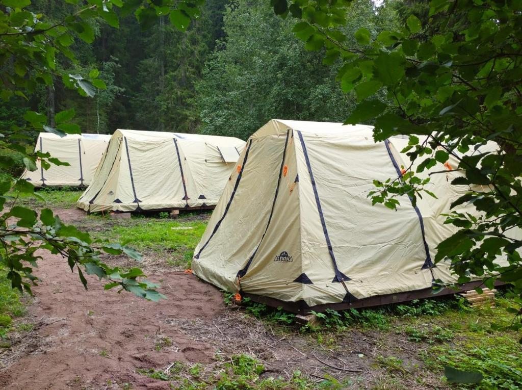 Двухместный (Двухместный номер с 1 кроватью), FoRest camp