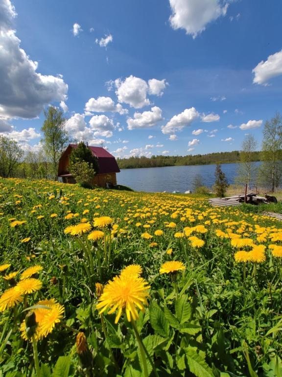 Номер (Дом с 2 спальнями), Дом 13 с причалом на Селигере