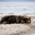 Номер (Дом с 2 спальнями), дом с причалом на берегу