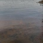 Номер (Дом с 1 спальней), The Lake House