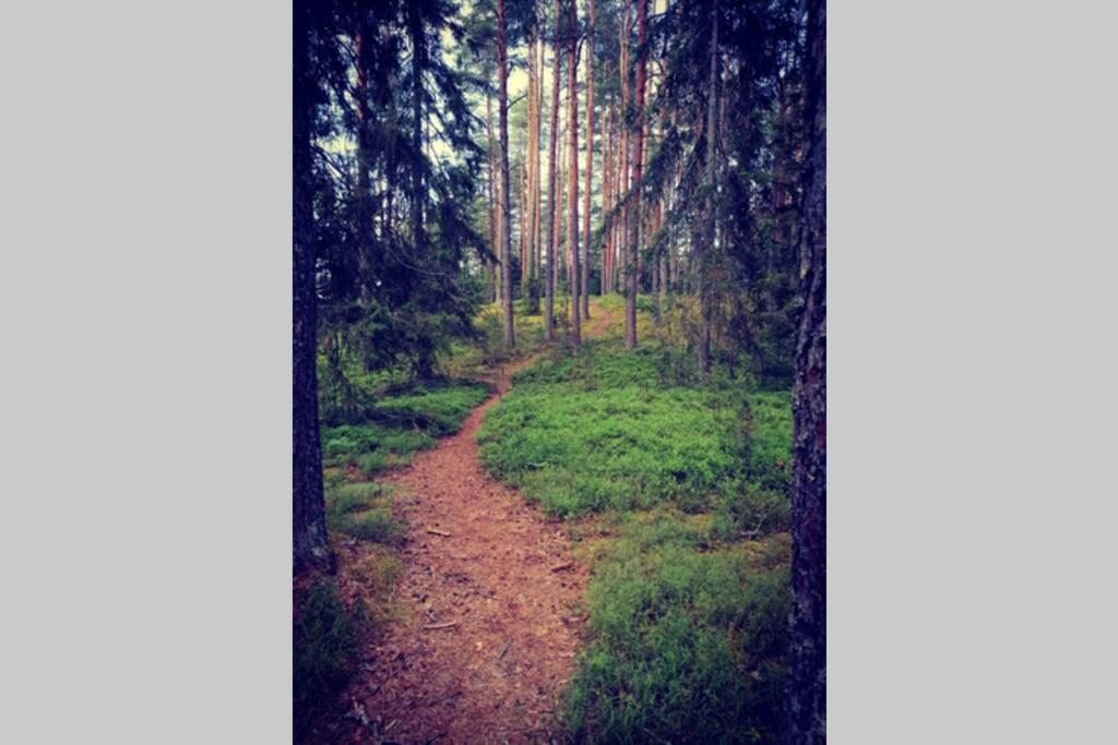 Номер (Дом с 3 спальнями), Домик с зелёной крышей в Зорино с баней