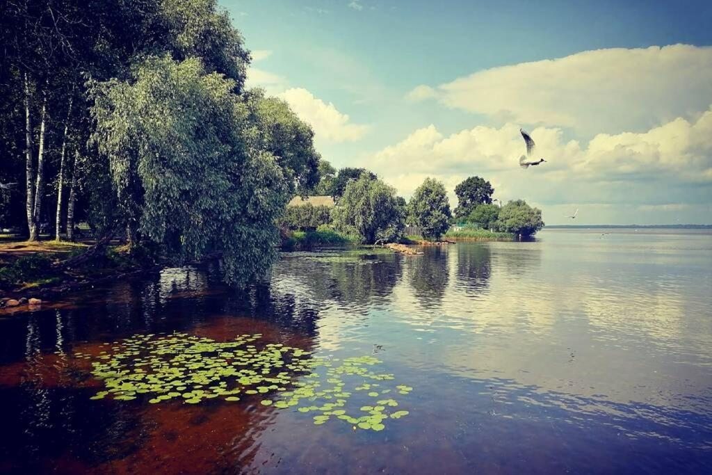 Номер (Дом с 3 спальнями), Домик с зелёной крышей в Зорино с баней