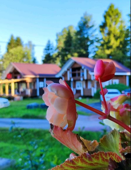 Фотография номера гостиницы Местечко Светлое