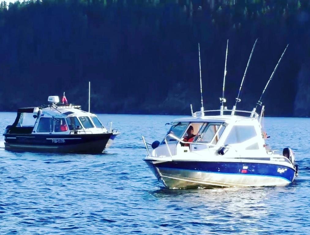 Апартаменты (Апартаменты с 1 спальней), Апартаменты С сауной