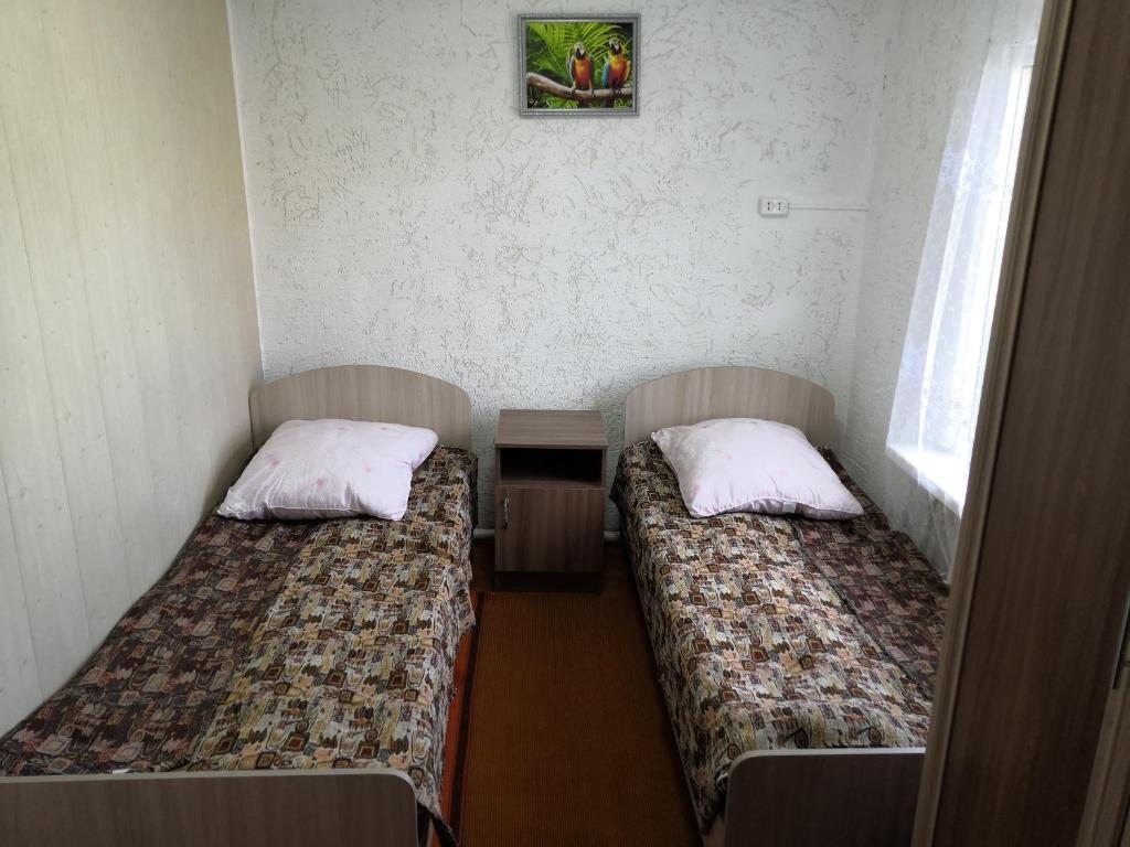 Двухместный (Двухместный номер с 2 отдельными кроватями) отеля Siberia, Кош Агач