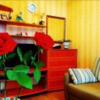 Апартаменты (Апартаменты - 1-й этаж), Apartment on Krasnoarmeyskaya 95b