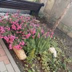 Территория