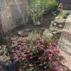 Территория