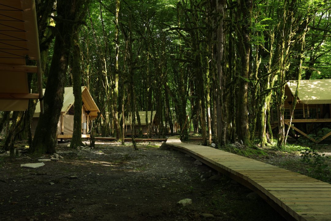 Территория реликтового леса, в самом центре тисо-самшитовой рощи, Мини-отель Лучшее Место