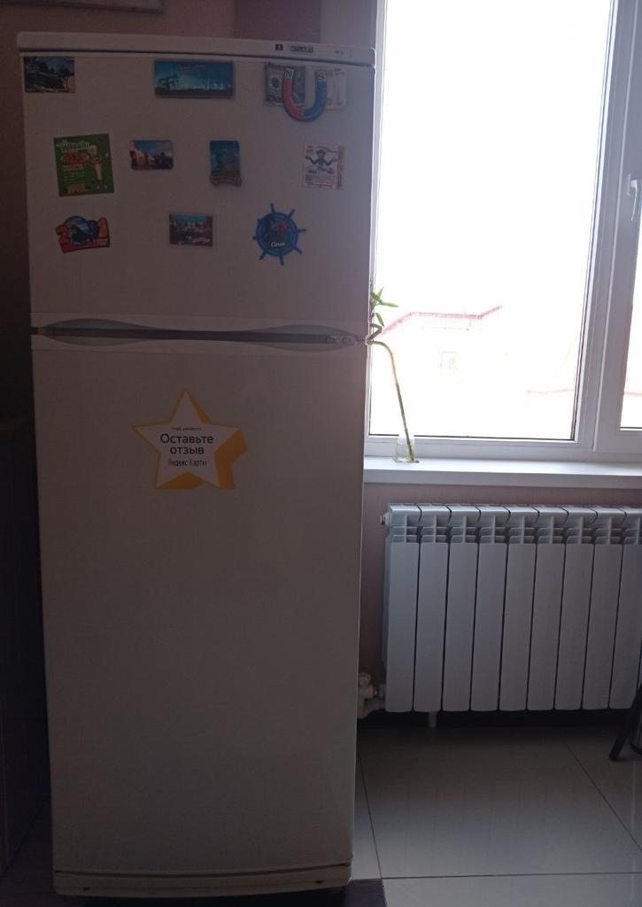 Холодильник, Хостел Кот Базилио