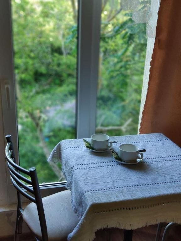 Студио (Семейный номер-студио), Гостевой дом Аэробус