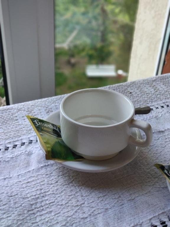 Студио (Семейный номер-студио), Гостевой дом Аэробус