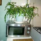 Четырехместный (Четырехместный номер), Гостевой дом Уютный домик