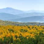 Пешие прогулки, Отель Лесная усадьба