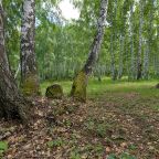 Вид на сад, Отель Лесная усадьба