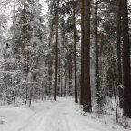 Номер (Дом с 4 спальнями), Клуб Увильды Русы