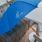 Алеон