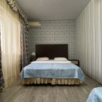 Трехместный (Комфорт 3-х/м с балконом), Гостевой дом С дельфинами