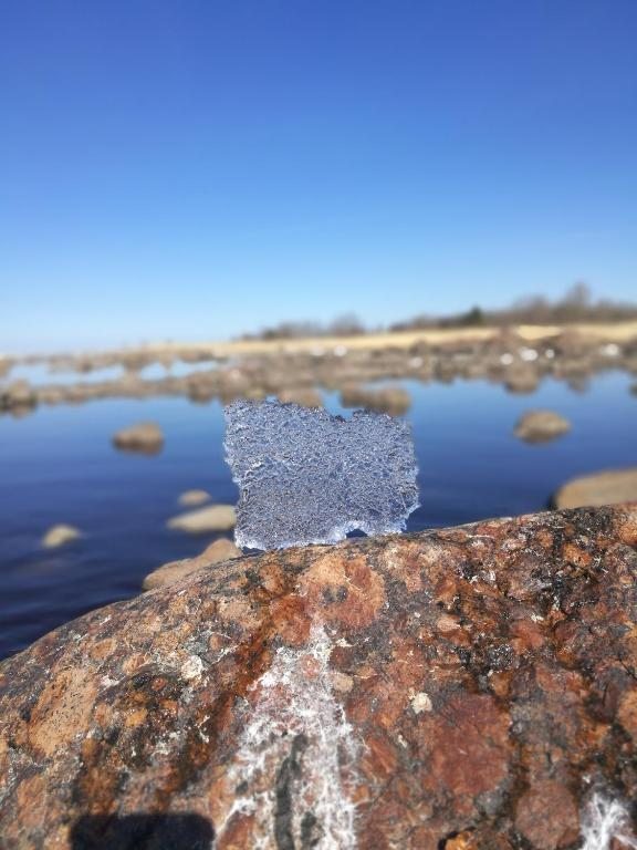 Номер (Дом с 3 спальнями), Загородный отель Гакково Море