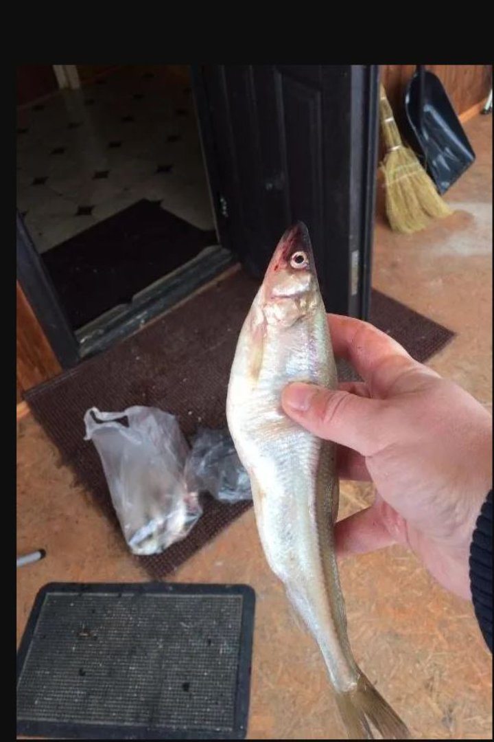 Рыбная ловля, Загородный отель Гакково Море
