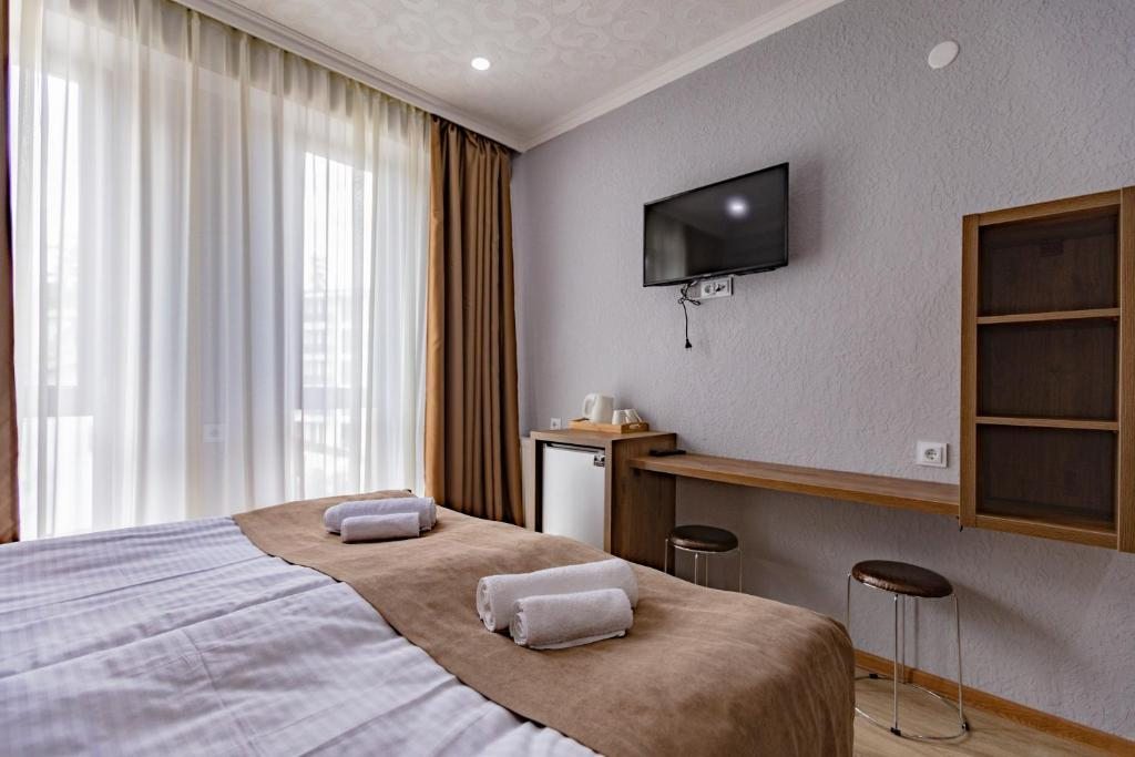 Двухместный (Двухместный номер с 2 отдельными кроватями и видом на город) отеля Hilltop Bakuriani, Бакуриани