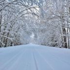 Номер (Дом с 3 спальнями), Дом для отпуска Селигер