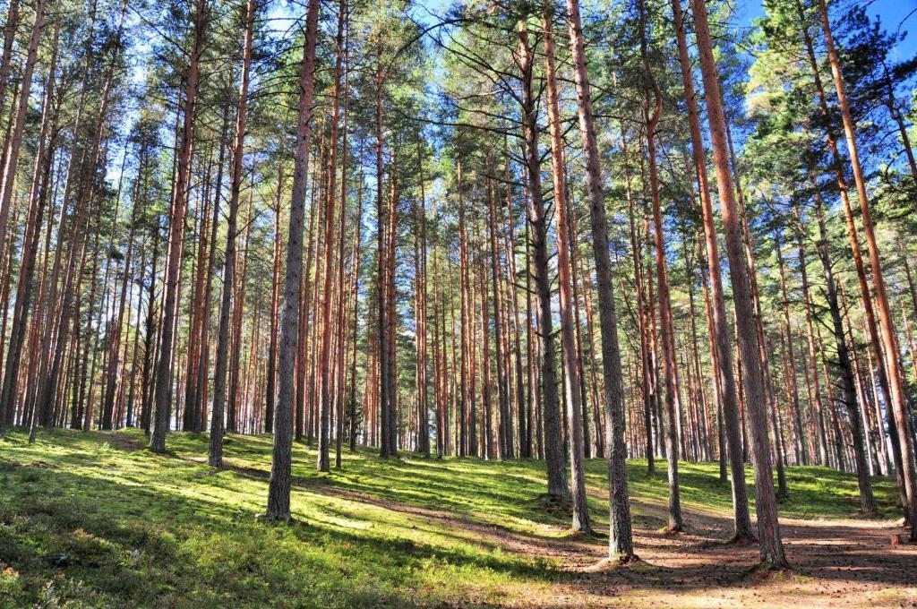 Номер (Дом с 3 спальнями), Дом для отпуска Селигер