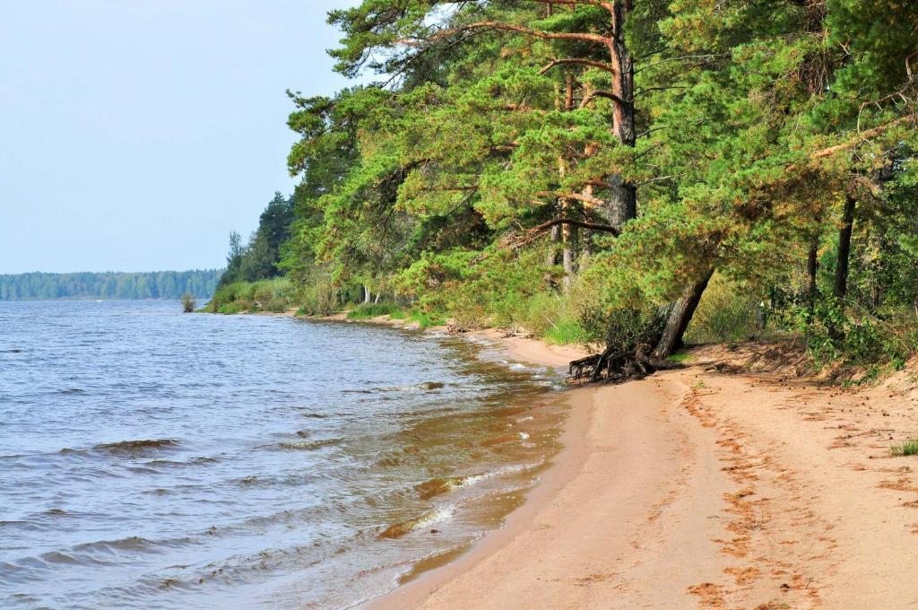 Номер (Дом с 3 спальнями), Дом для отпуска Селигер