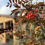 Парковка, Гостевой дом Хутор