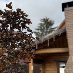 Парковка, Гостевой дом Хутор