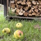 Сауна, Гостевой дом Хутор