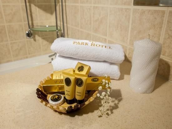 Фотография номера гостиницы Парк Отель