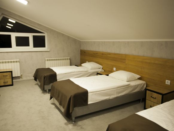 Фотография номера гостиницы Альпина