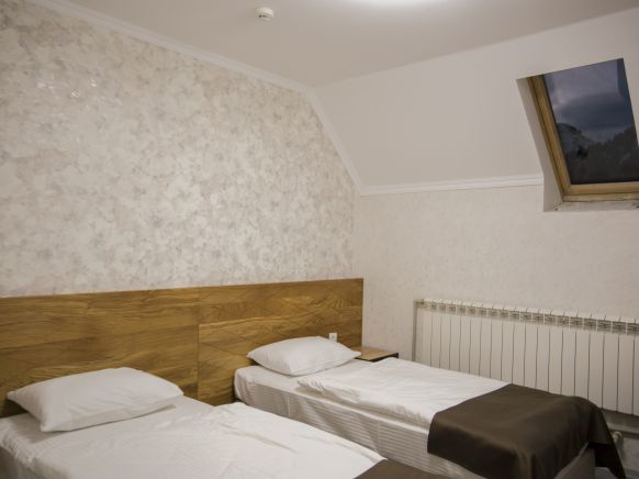 Фотография номера гостиницы Альпина