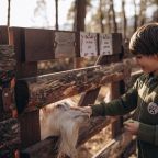 Детская площадка на улице, Отель Деревня Берендеевка