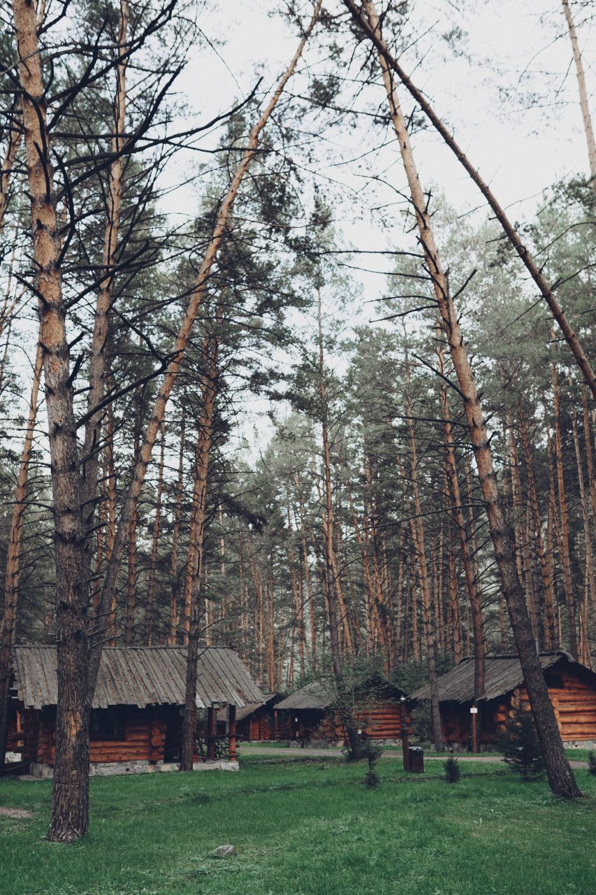 Объект находится в лесу, Отель Деревня Берендеевка